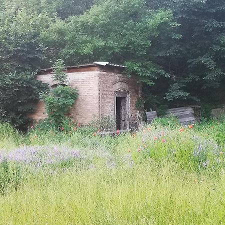 Gaestehaus Am Landgut Schonwalde-Glien Exteriör bild