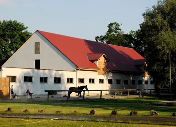 Gaestehaus Am Landgut Schonwalde-Glien Exteriör bild